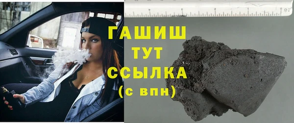 гидра Тайга