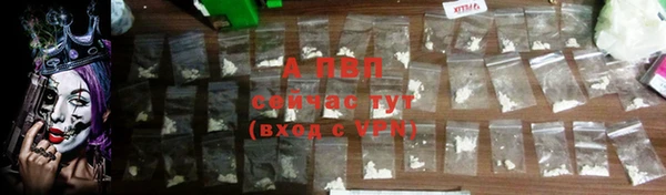 гидра Тайга