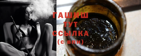 гидра Тайга